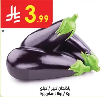 بادنجان كبير