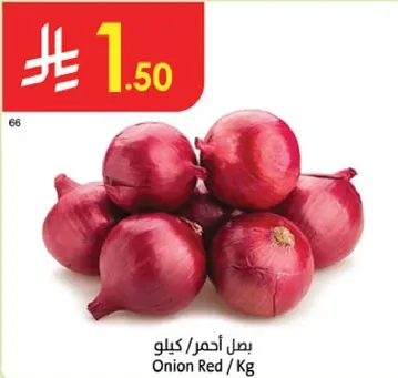 بصل احمر / كيلو