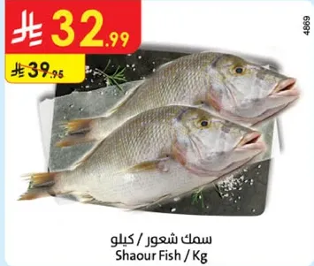Shaour Fish per kg