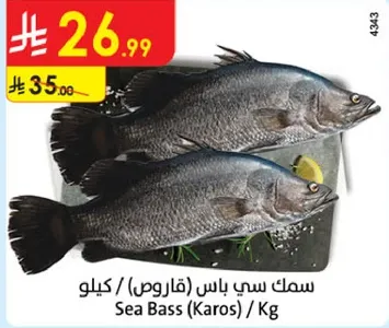 سمك سي باس (قاروص) / كيلو