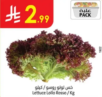 خس لولو روسو / كيلو