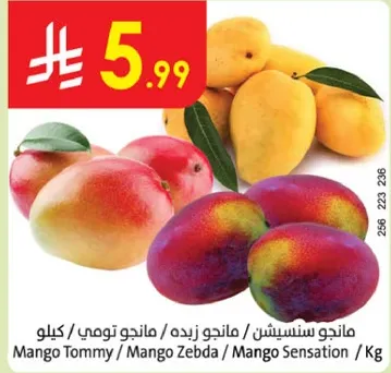 مانجو سنسيشن / مانجو زبده / مانجو تومي