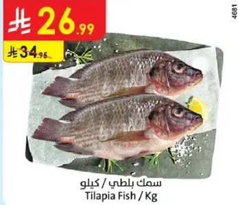 سمك بلطي / كيلو