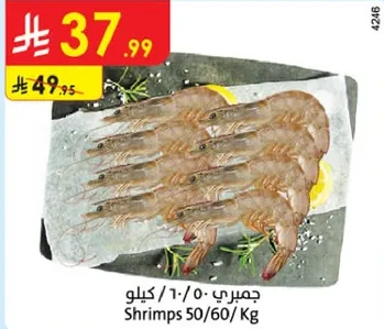 جمبري 50/60 كيلو