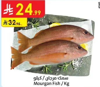 سمك مرجان / كيلو