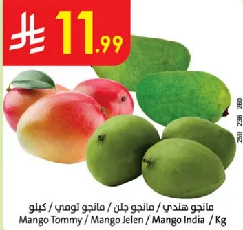 مانجو هندي / مانجو جلن / مانجو تومي