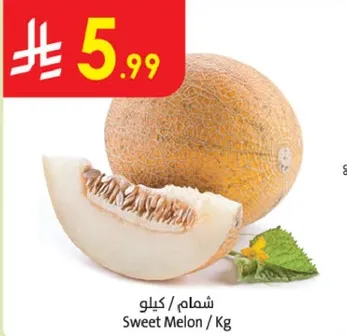 شمام / كيلوا