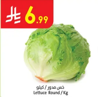 خس مدور / كيلو