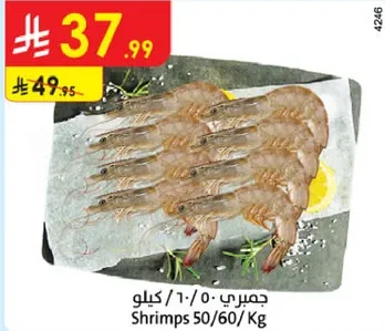 جمبري 50/60 كيلو