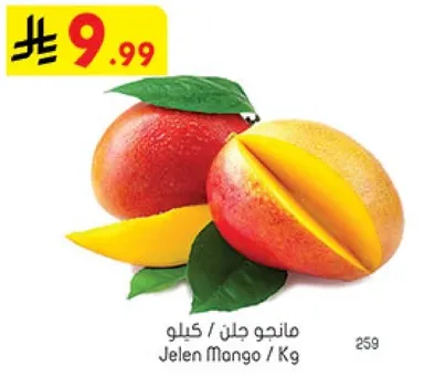 مانجو جلن / كيلو