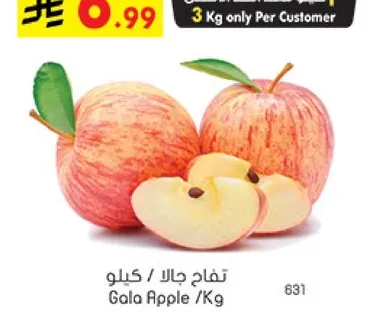 Gala Apple / Kg