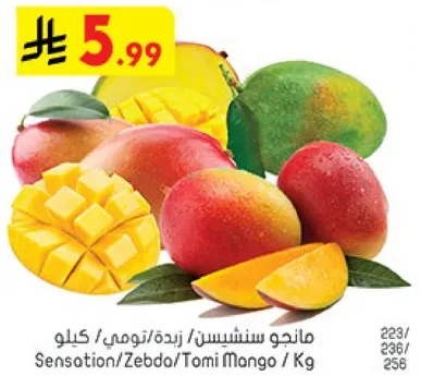 مانجو سنسيشن/زبده/تومي لكل كيلو.