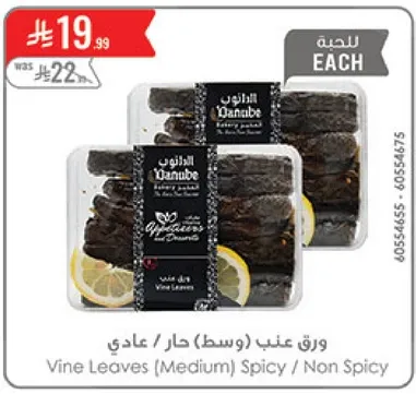 ورق عنب (وسط) حار / عادي
