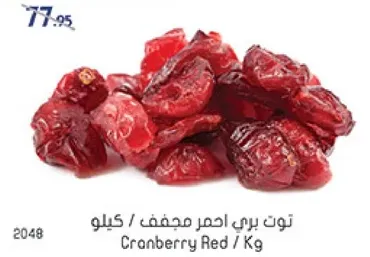 توت بري احمر مجفف.