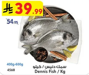 سمك دنيس / كيلو