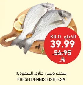 سمك دنيش طازج؛ السعوديه