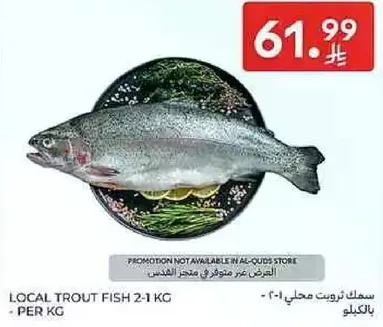 سمك ترويت محلي 2-1 كغ