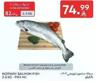 سمك سلمون نرويجي 2-3 كجم - لكل كجم