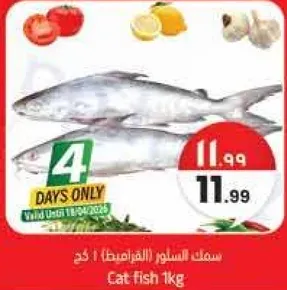 سمك السلور (المفروض) 1 كغ