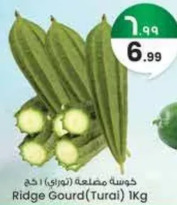 كوسه مضلعه (توراي) 1 كجم