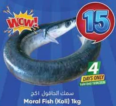 سمك الحاتول 1 كجم