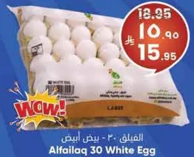 الفيلاق - 30 بيض ابيض