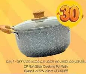 وعاء طهي غير لاصق مع غطاء زجاجي 22 و 20 سم CFCK365