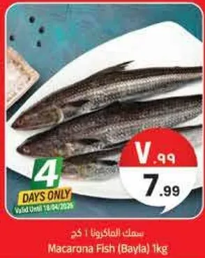 سمك الماكارونا 1 كغ