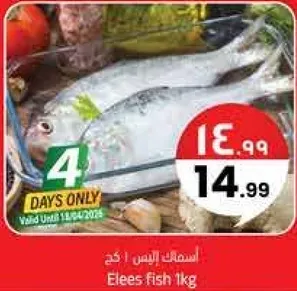 سمك الاليس 1 كجم