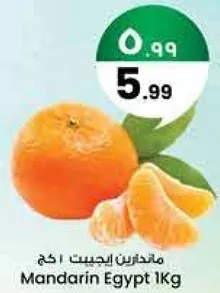 ماندارين اجيبت 1 كغ
