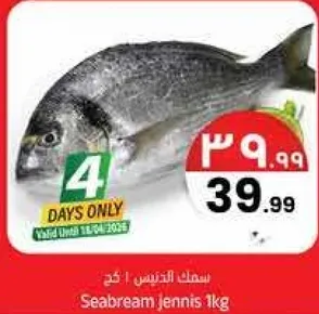 سمك الجنس ! 1 كغ