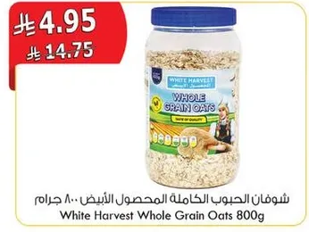 شوفان الحبوب الكامله المحصول الابيض 800 جرام