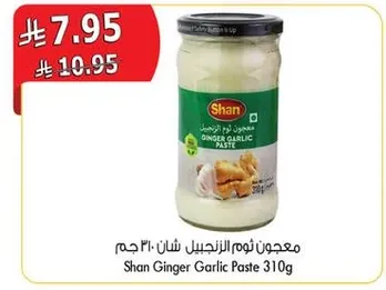 معجون ثوم الزنجبيل شان 310 جرام