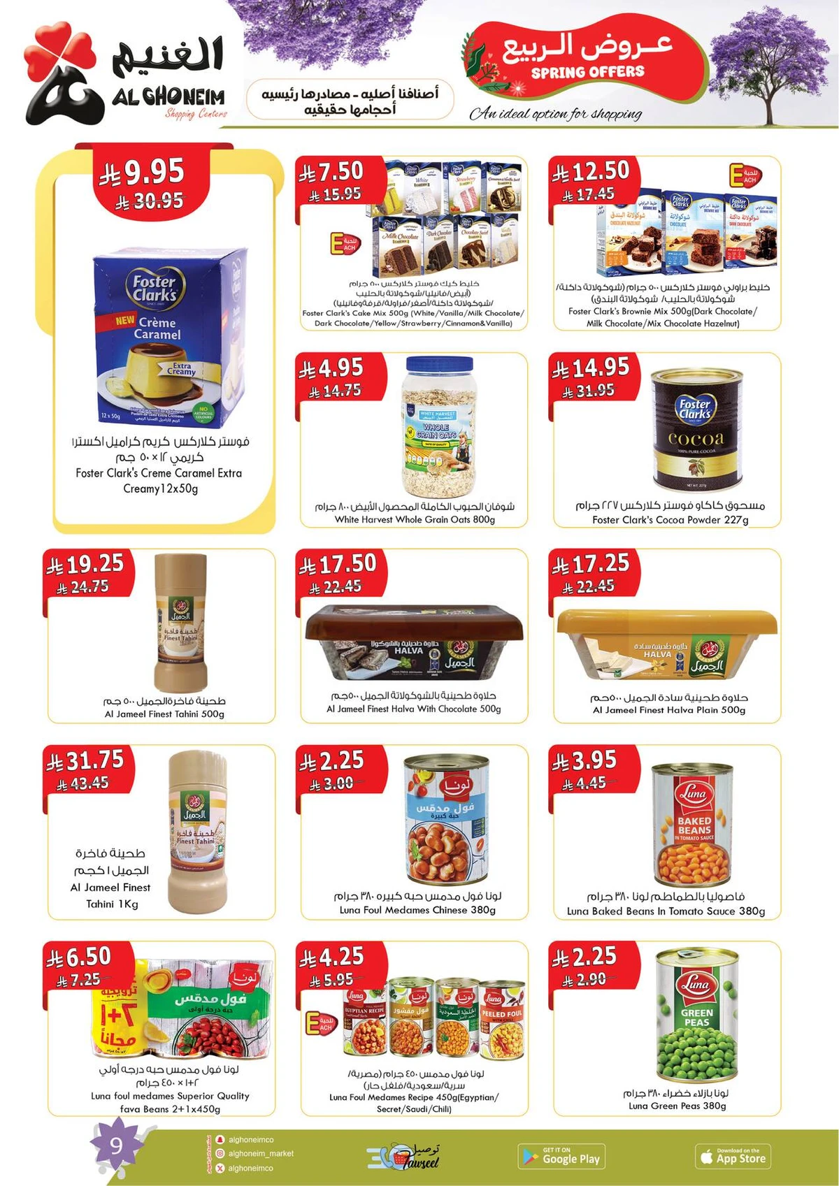 عروض الربيع - صفحة 11