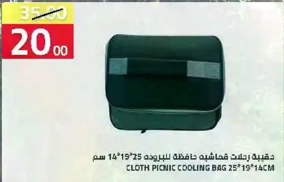 حقيبه تبريد قماشيه للنزهات 25*19*14 سم