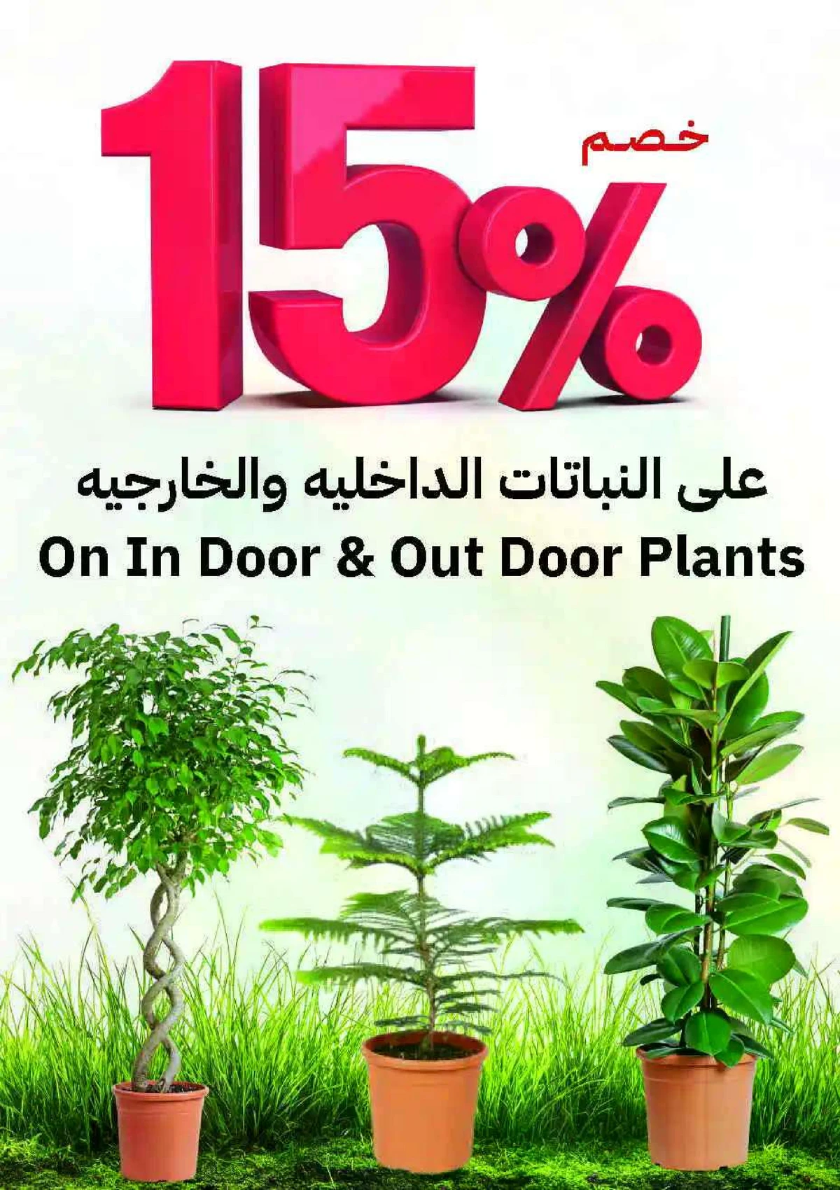 عروض الربيع - صفحة 2