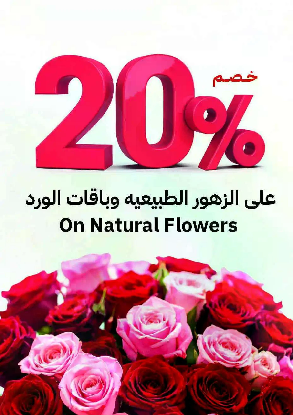 عروض الربيع - صفحة 7