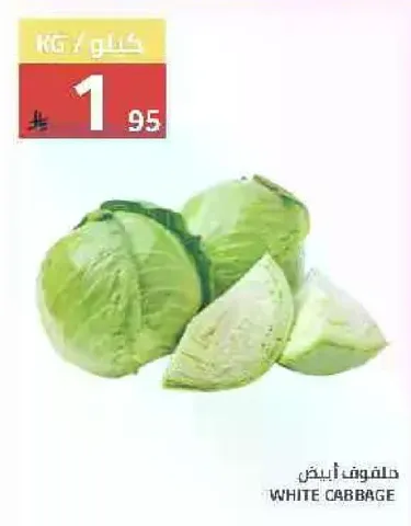 White cabbage