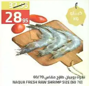 روبيان طازج مقاس 60/70