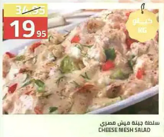 سلطه جبنه مش مصري