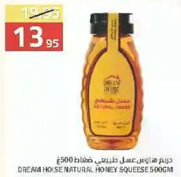 Dream House Natural Honey Squeeze 500g