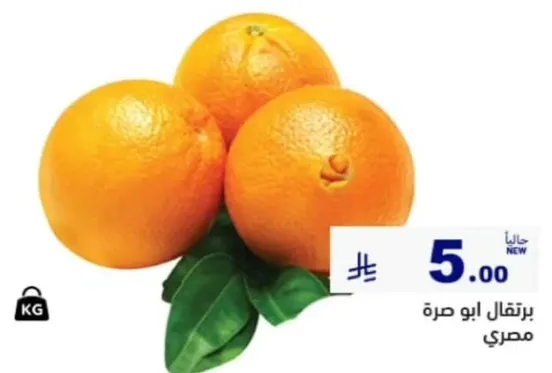 Egyptian Abu Surra oranges.