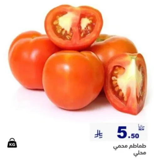 طماطم محلي.