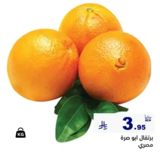 Egyptian Abu Sir oranges.