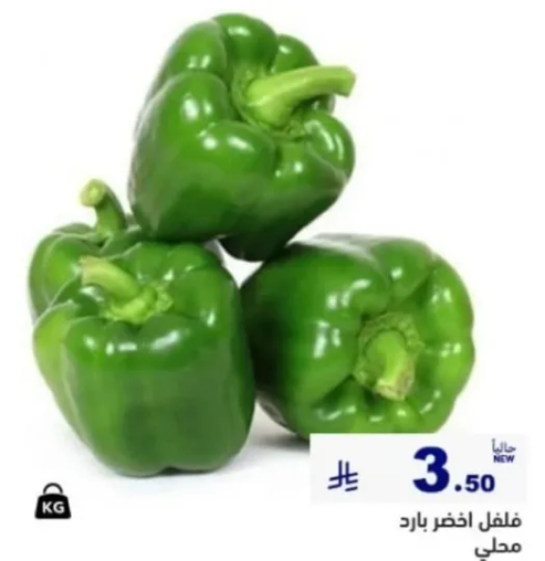 فلفل اخضر بارد محلي.