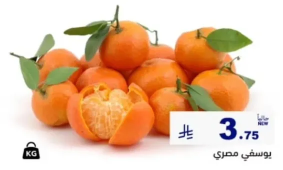 يوسفي مصري.