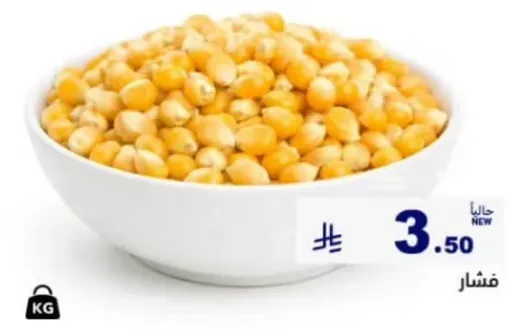 حبوب الذره الصفراء الجديده.