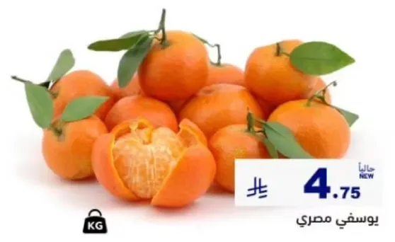 يوسفي مصري.