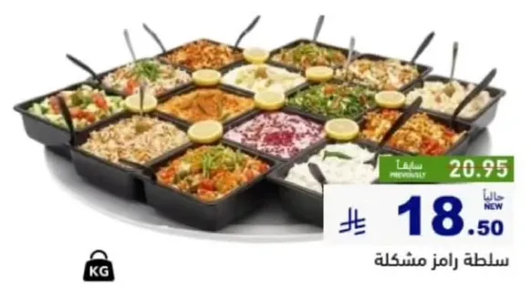 سلطه مكونه من مكونات متنوعه.