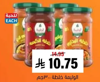 مجموعه متنوعه من الصلصات لتعزيز وجباتك.